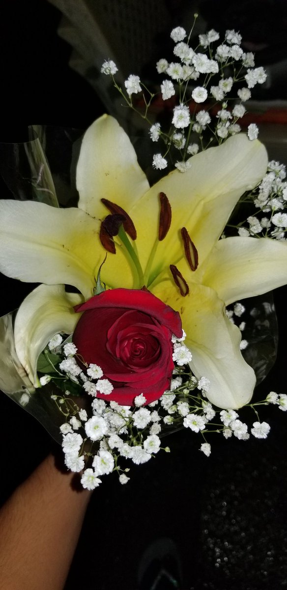 Hoy amaneci con estas rosas sobre mi almohada y con una nota súper linda. C.R.CH