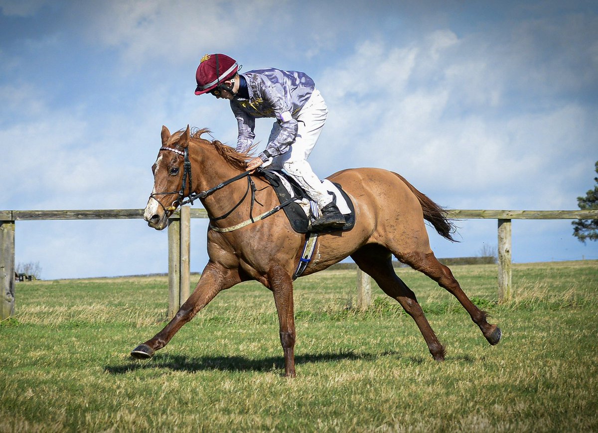 mjyharris's tweet photo. @jess_stafford_ It wasn’t long ago Harry was pony racing. 
#littleannie https://t.co/BIF9tvCRtG