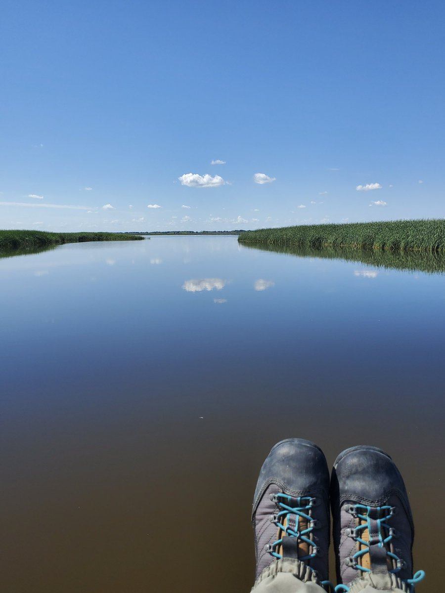 When there is no reprieve from the relentless Manitoba sun, Ross takes matters into his own hands and put the ActionPackerStackers to the test to create a little shade… too bad it wasn’t his Time to Tilley. We had fun sampling the #NetleyLibau marsh last week!