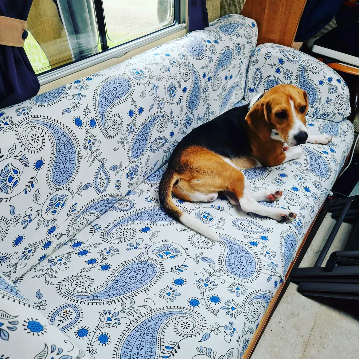 Buster modelling the new <a href="/shein/">Soren Hein</a> covers