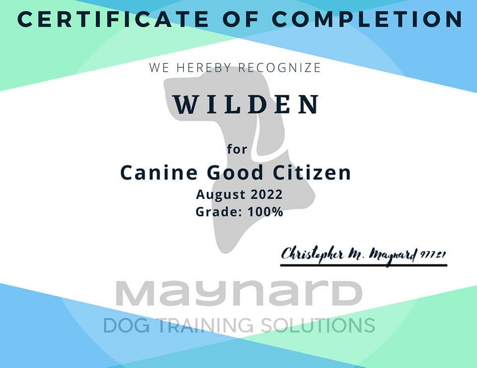 Plympton Fire tweet media