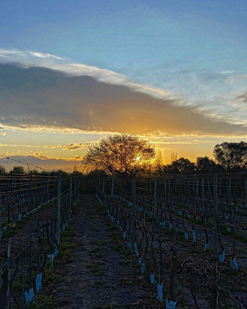 alevigilmalbec's tweet photo. Se va #mendoza https://t.co/QpgIcW3mM2