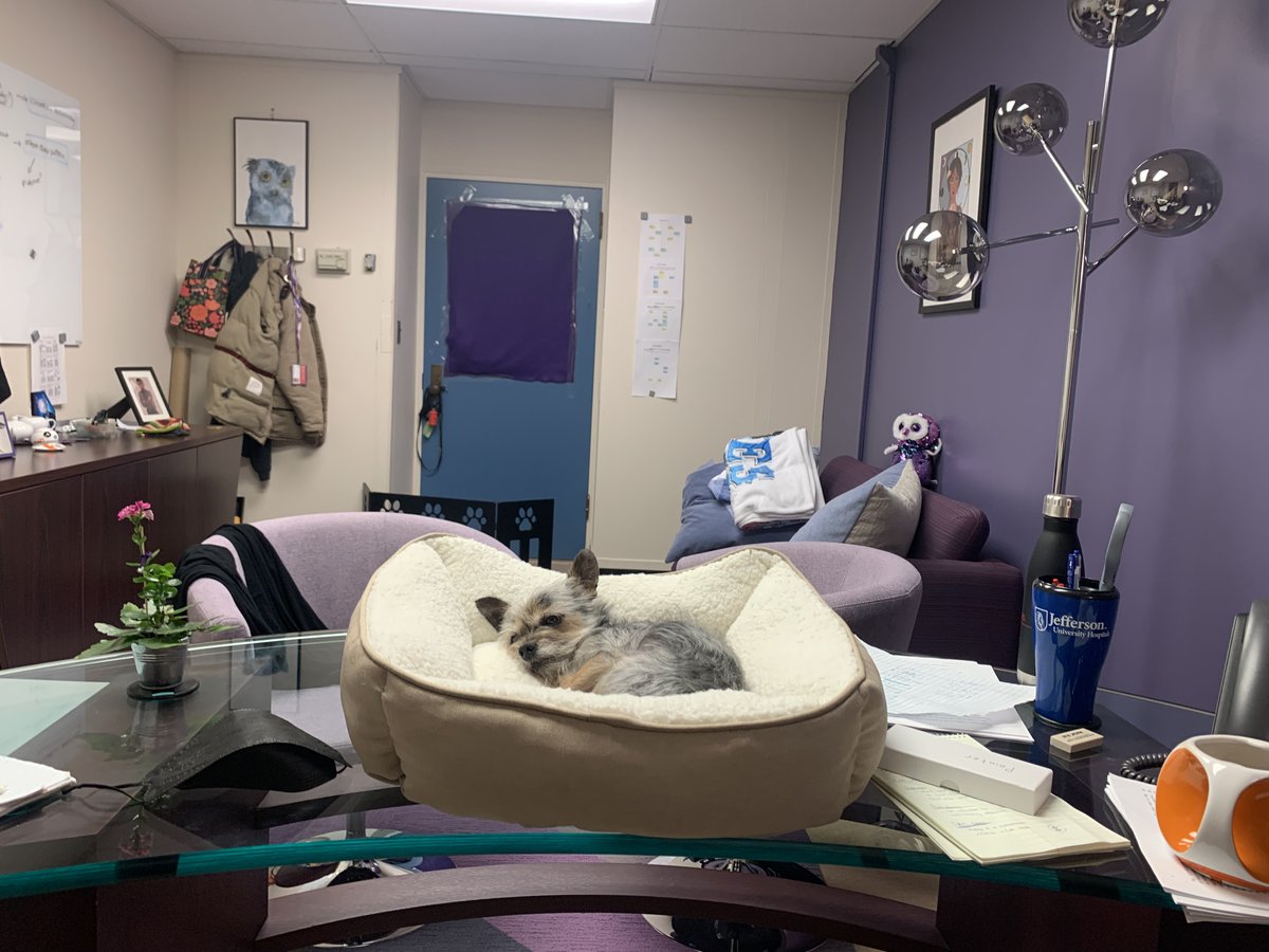 New PI Slack tweet media