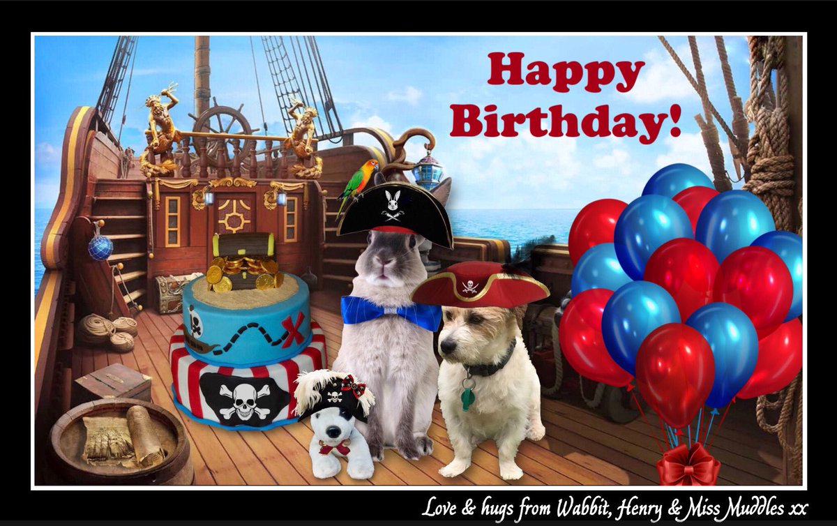 Miss Muddles 🐶🎀💕💖 #ZSHQ General tweet media