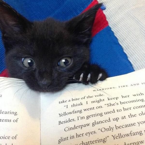 The tiny void demands attention.