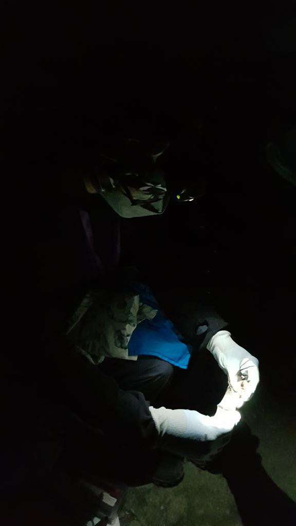 TragusTraining's tweet photo. Finally home after a great weekend helping #DorsetBatGroup with their #research into #bat #swarming #behaviour 🙂 Great to be involved in #batscience that will have practical applications for #batconservation. Lovely to see some old friends and make some new ones too 🙂
#lovebats https://t.co/ktvN94CQFX