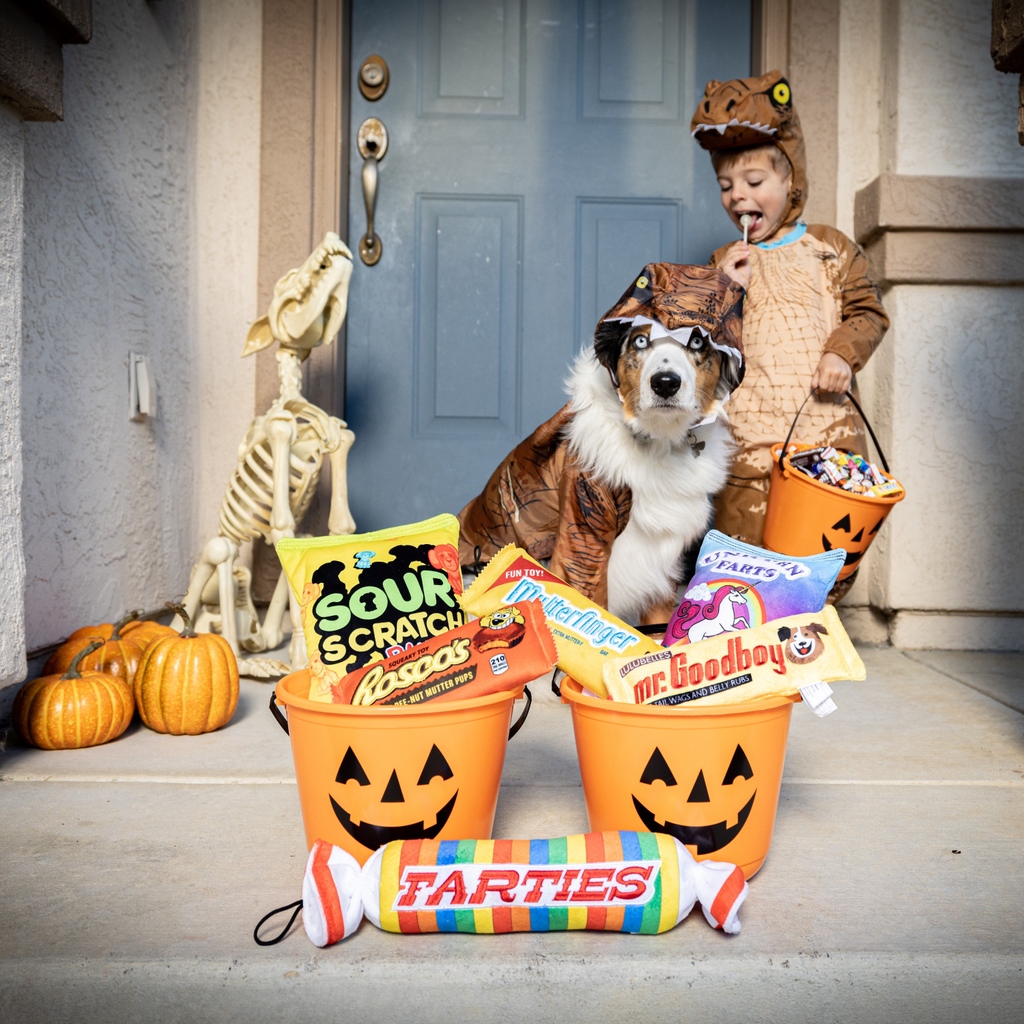 huxleyandkent's tweet photo. Our Halloween Products are NOW SHIPPING! 🎃
Check out our new snacks and sweets perfect for the holidays! Link in bio!
#halloween #dogtoys #dogcostume #trickortreat #tricksfortreats #halloweencandy #pumpkins #candy #lulubelles #lulubellesfun #powerplush #huxleyandkent https://t.co/rOx76j35Tb