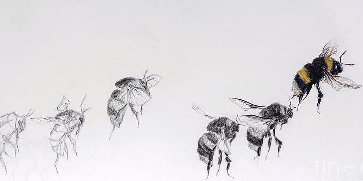 Some Greek philosophers believed bees to be the souls of those yet to be born...

#MythologyMonday