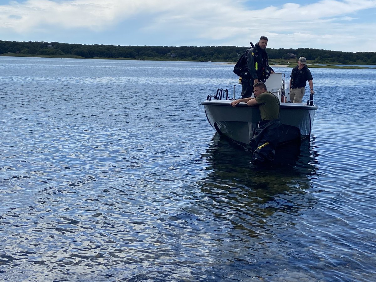 Louisa Moller tweet media