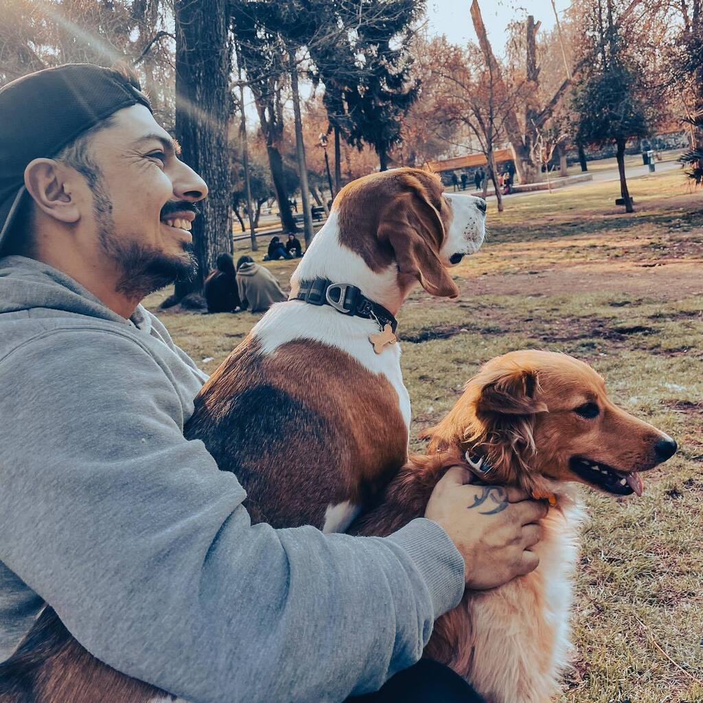 rodfaune's tweet photo. Happiness 

#dog #happy #green #photography https://t.co/87KF06bn7R https://t.co/wS1JECoP8A