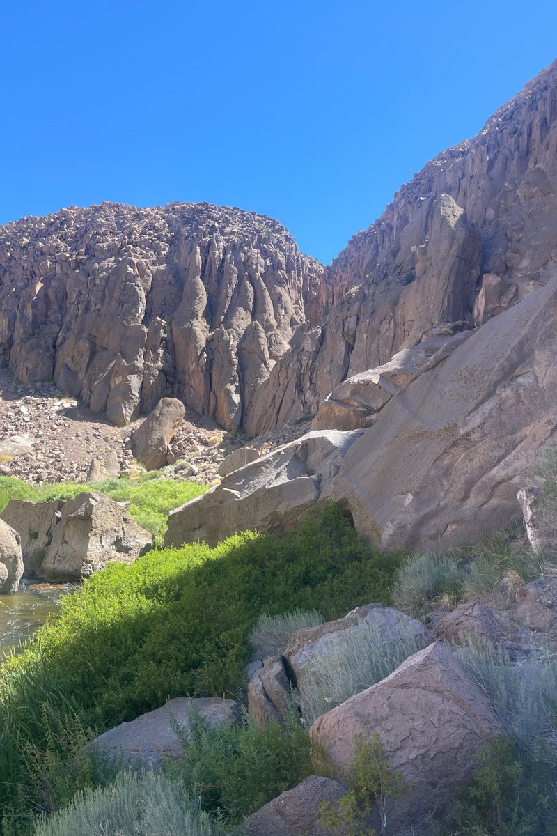 usadventurerace's tweet photo. If you were an RD, where would you put the CP?
#weARtogether #gearjunkie #toyotatundra
#USARA #USARAnationals #bishopcalifornia #goldrushadventureracing #alloutevents #adventureracing #adventurerace #easternsierra https://t.co/sDJnNrMeUC