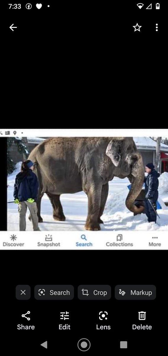 JulieKi53713414's tweet photo. Only 3months away fromWinter when #EdmontonZoo regularly walks Lucy inBLIZZARDSto -25Β°celcius @JaneGoodallCAN πππ¨π¦βοΈπ‘οΈπ¬οΈ If this isn't NUT$, I DON'T KNOW WHAT WOULD BE THEN. #ALivingHell sinceMay1977 #ThisIsNotNormal ...but you 'say' she hasDeathlyDangerous Breathing issues π€― https://t.co/5Rk7MDB2St