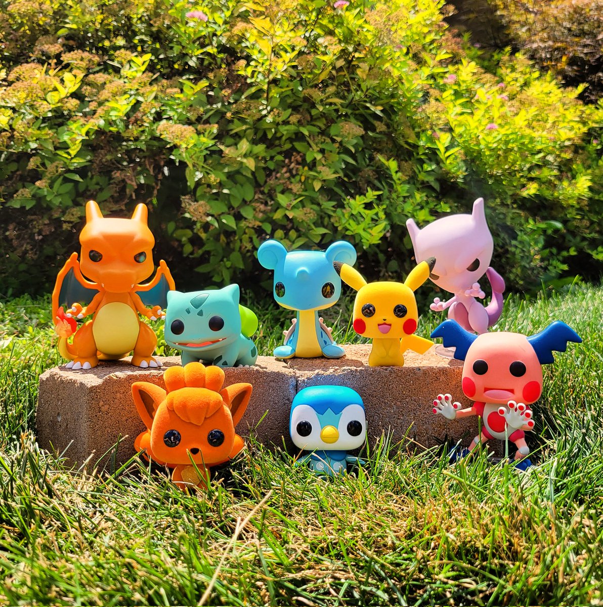 Cop_Or_Pop's tweet photo. Happy, Fan of Something, Day 8 of #funkophotoadaychallenge ! 📸🌻
Gotta Catch Em' All :) 

@originalfunko #funko #pokemon #pokemonphotography #lapras https://t.co/BX5lLSu04z