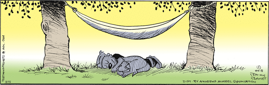 DalePederson's tweet photo. #MondayThoughts looks like the #comic "Red and Rover" by Brian Basset has reached #TranquilityBase ... #ABoyAndHisDog ... Evidently #School has not yet begun #where #Red & #Rover live ... or are they #playing #hookey? https://t.co/2ybN19gDrj