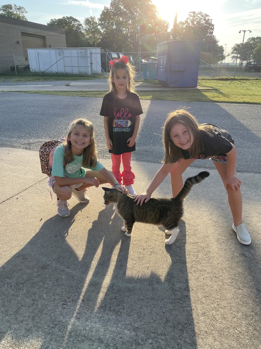 CatUaex's tweet photo. School started today and I wanted to be sure to give my friends Layla, Charlotte and Lilly the best back-to-school sendoff possible. 

It's going to be a great year.

I hope you have a great week too!
❤️,
#TheCatSupervisor https://t.co/4xhIoNqKzD