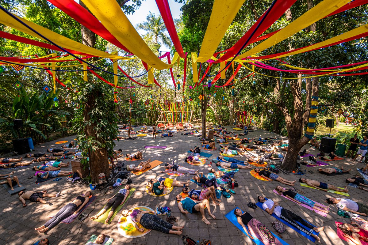 Bahidorá tweet media