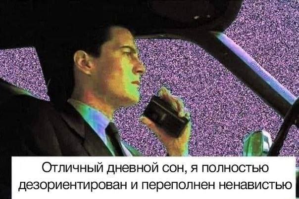 RussianMemesLtd's tweet photo. what a great nap, I feel totally disoriented and I'm full of hate https://t.co/EmtoUF78hL