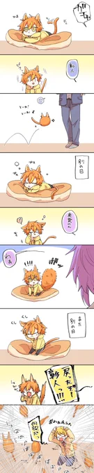 ネコノメと神高男子
🥞愛され注意
ケモミミ注意 