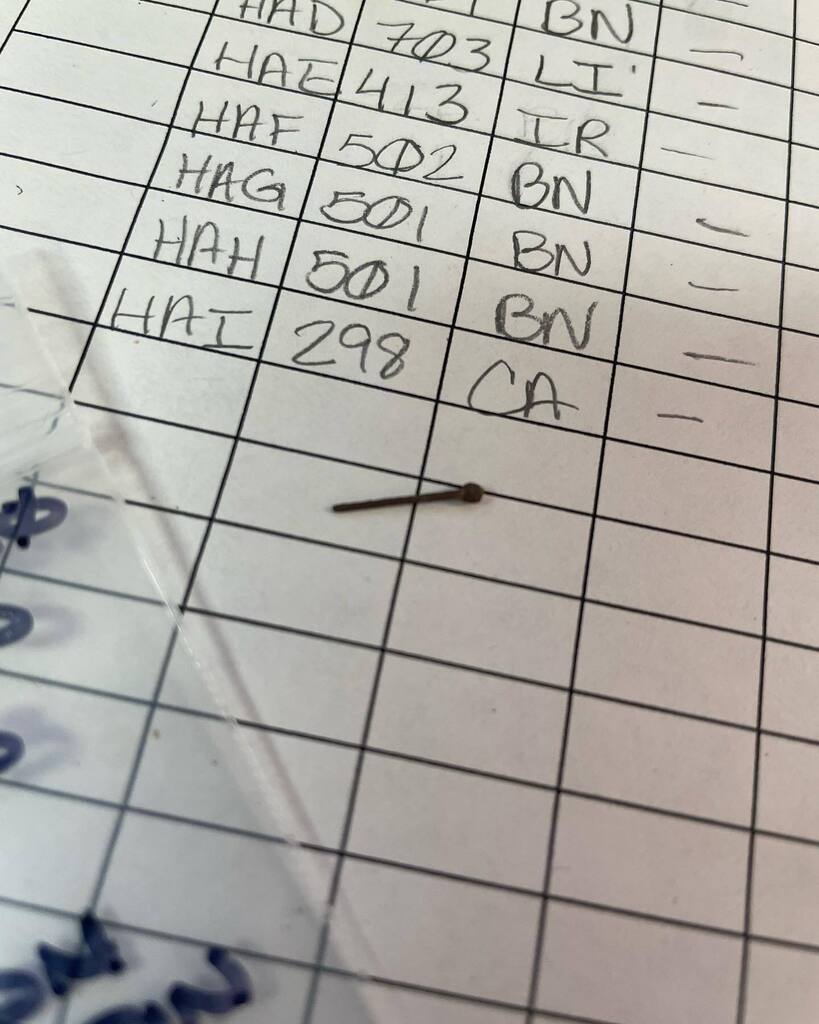 Montpelier_Arch's tweet photo. Check out this tiny straight pin fragment excavated from the Overseer’s site in 2019. We’re excited to see what other discoveries we’ll make there when we return to Overseer’s this fall! #archaeology #archaeologylife #catalog #archaeologylab #lablife… https://t.co/E2ysuYurVi https://t.co/Pn6FVxkHSs