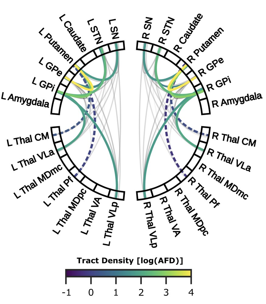 Jonathan C. Lau (@jclauneuro) on Twitter photo Mapping the subcortical connectome using in vivo diffusion MRI. Now published in <a href="/NeuroImage_EiC/">NeuroImage</a>: doi.org/10.1016/j.neurβ¦
Led by <a href="/jasonkai/">Jason Kai</a> + @RoyHaast <a href="/neuroak/">Ali Khan</a>.
π§ ππΊοΈ
Using <a href="/HumanConnectome/">HCP News</a> data, and supported by <a href="/Brains_CAN/">Western BrainsCAN</a>, <a href="/NSERC_CRSNG/">NSERC / CRSNG</a>, @WesternUCNS, <a href="/ComputeCanada/">Compute Canada</a>. Mapping the subcortical connectome using in vivo diffusion MRI. Now published in <a href="/NeuroImage_EiC/">NeuroImage</a>: doi.org/10.1016/j.neurβ¦
Led by <a href="/jasonkai/">Jason Kai</a> + @RoyHaast <a href="/neuroak/">Ali Khan</a>.
π§ ππΊοΈ
Using <a href="/HumanConnectome/">HCP News</a> data, and supported by <a href="/Brains_CAN/">Western BrainsCAN</a>, <a href="/NSERC_CRSNG/">NSERC / CRSNG</a>, @WesternUCNS, <a href="/ComputeCanada/">Compute Canada</a>.