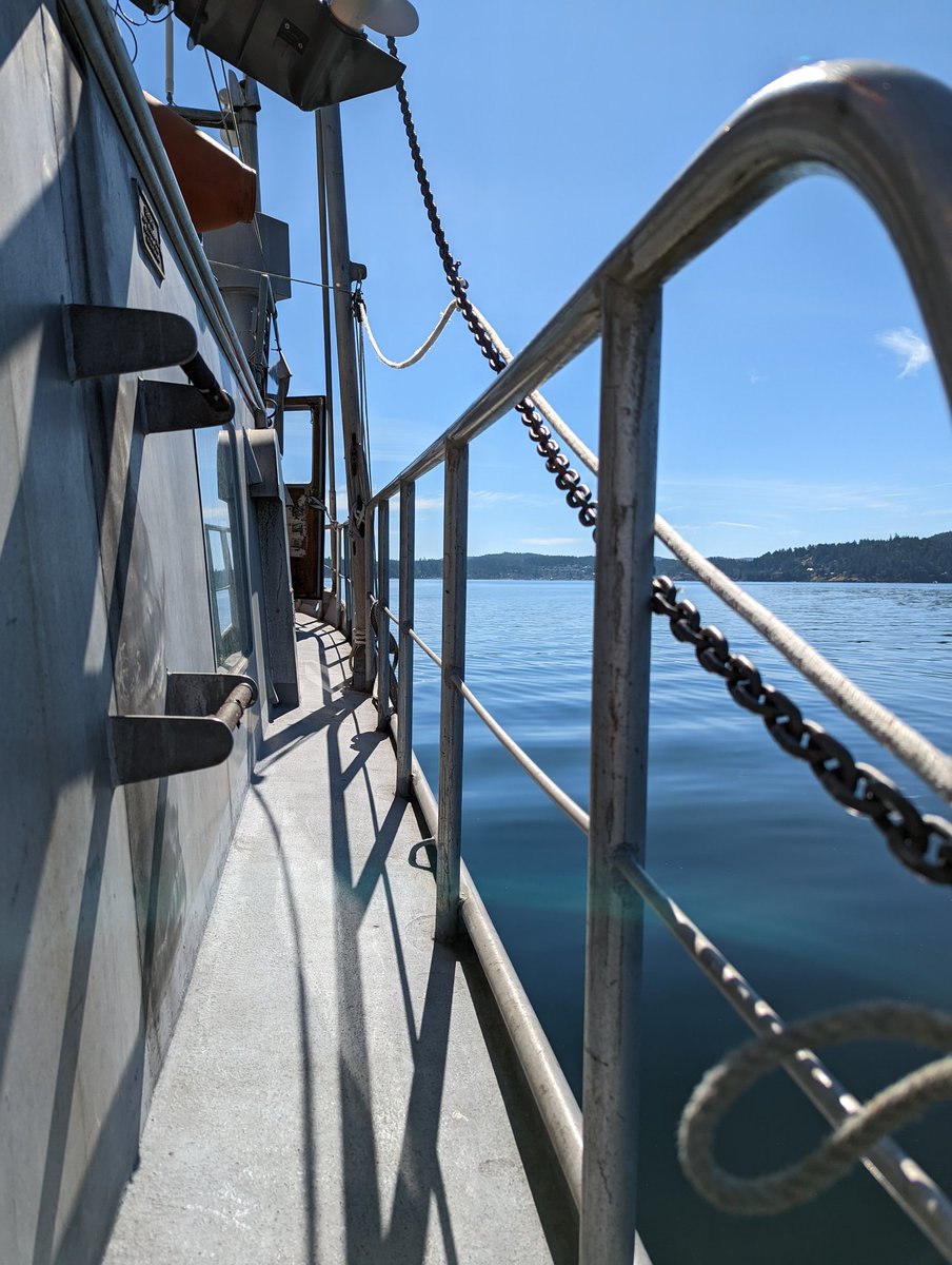 crowe_lab's tweet photo. Back at sea! #omz #microbes #geochem @Ryan_Gawryluk @UBCeoas @UBCMicroImmuno https://t.co/gJVJRyS9VG