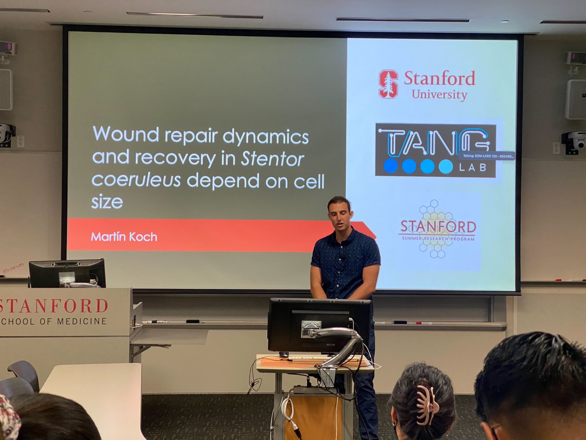 Tang Lab (@lab_tang) on Twitter photo Last week, our undergraduate #AmgenScholars Martín Koch presented his work on cell size effects on Stentor wound repair as part of the 2022 Stanford Summer Research Program! Congratulations Martín & thanks for a great summer! #SSRP <a href="/StanfordBiosci/">Stanford Biosciences</a> <a href="/AmgenFoundation/">Amgen Foundation</a> <a href="/MartnKoch1/">Martín Koch</a> Last week, our undergraduate #AmgenScholars Martín Koch presented his work on cell size effects on Stentor wound repair as part of the 2022 Stanford Summer Research Program! Congratulations Martín & thanks for a great summer! #SSRP <a href="/StanfordBiosci/">Stanford Biosciences</a> <a href="/AmgenFoundation/">Amgen Foundation</a> <a href="/MartnKoch1/">Martín Koch</a>
