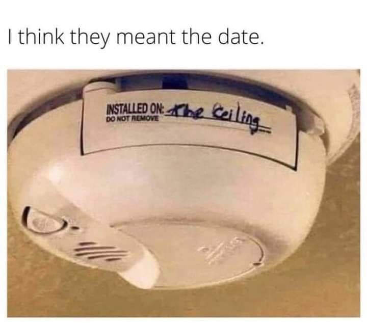 Wow 😮 seriously 🤣