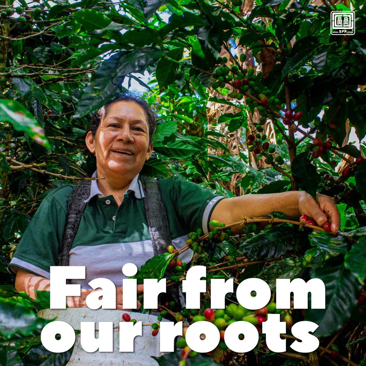 SPP is the best fair trade alternative: we work in partnership with committed companies and consumers and are legitimized by independent certification. Together we build a fairer, more respectful and more equitable world 🤝💚.