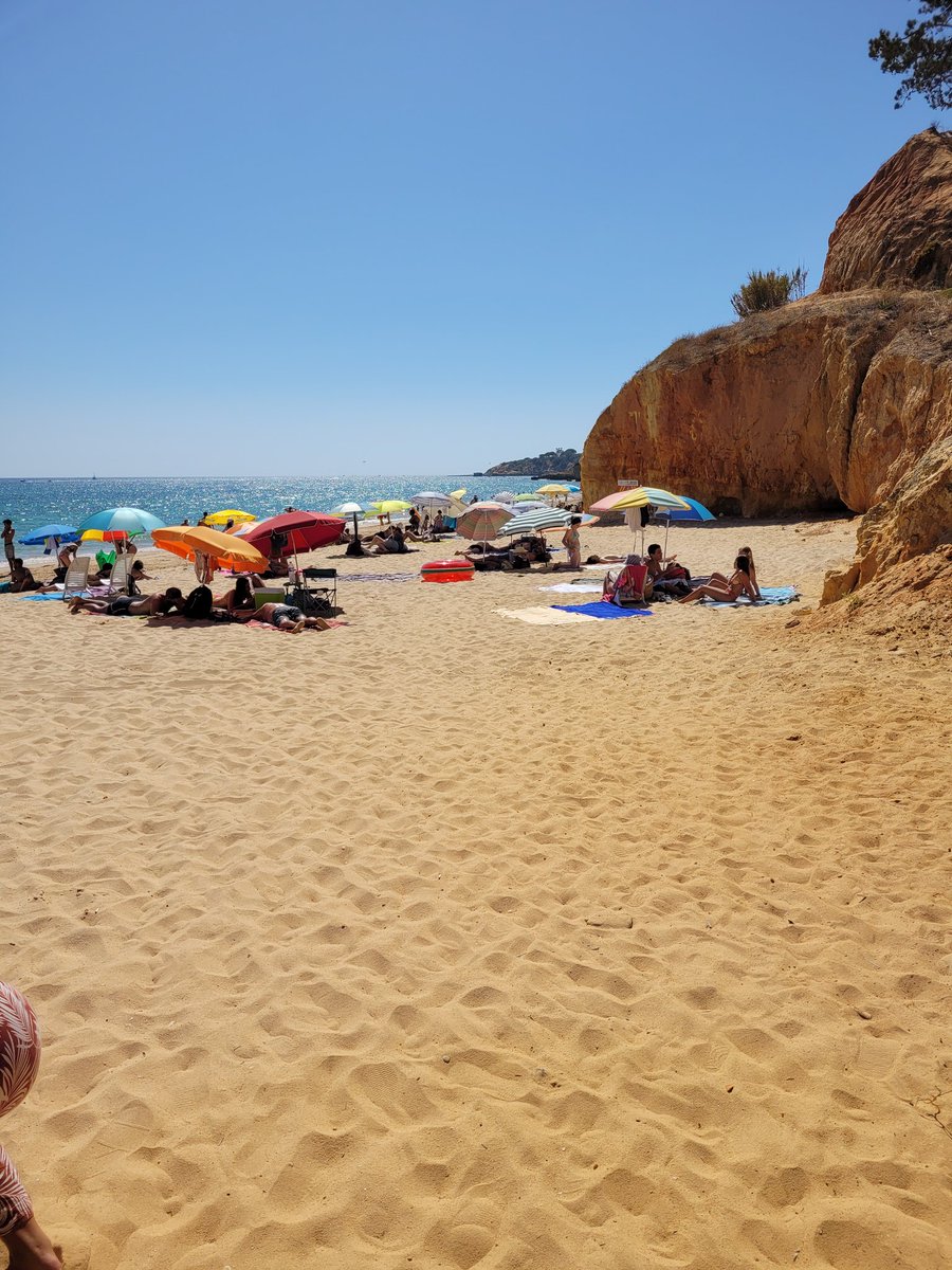 copey80's tweet photo. 🇵🇹 2022 https://t.co/VgHcxp2JOp