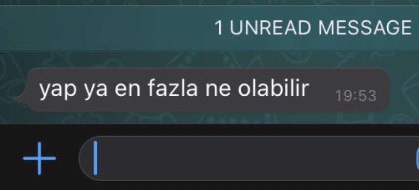 bu cümle benim bi gün sonumu getirecek