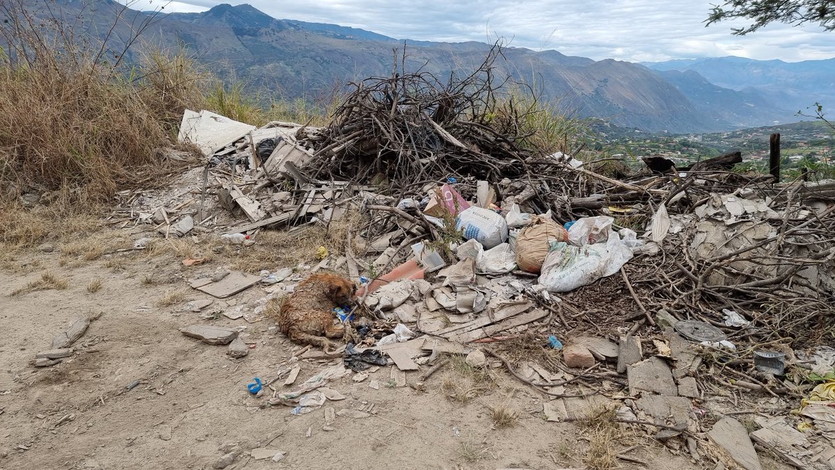 Lindo fondo no? El Valle de #Yunguilla pero ahí mismo, en tus narices, está "algo" q la gente considera basura; sí, botaron a esta perrita a la basura xq estaba enferma; se hizo todo, no hubo mas salida q la eutanasia; te pido q des #RT para q cuando veas algo así, pares y ayudes