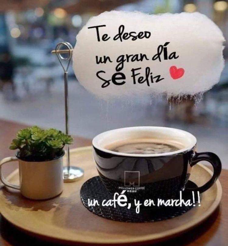 Feliz tarde