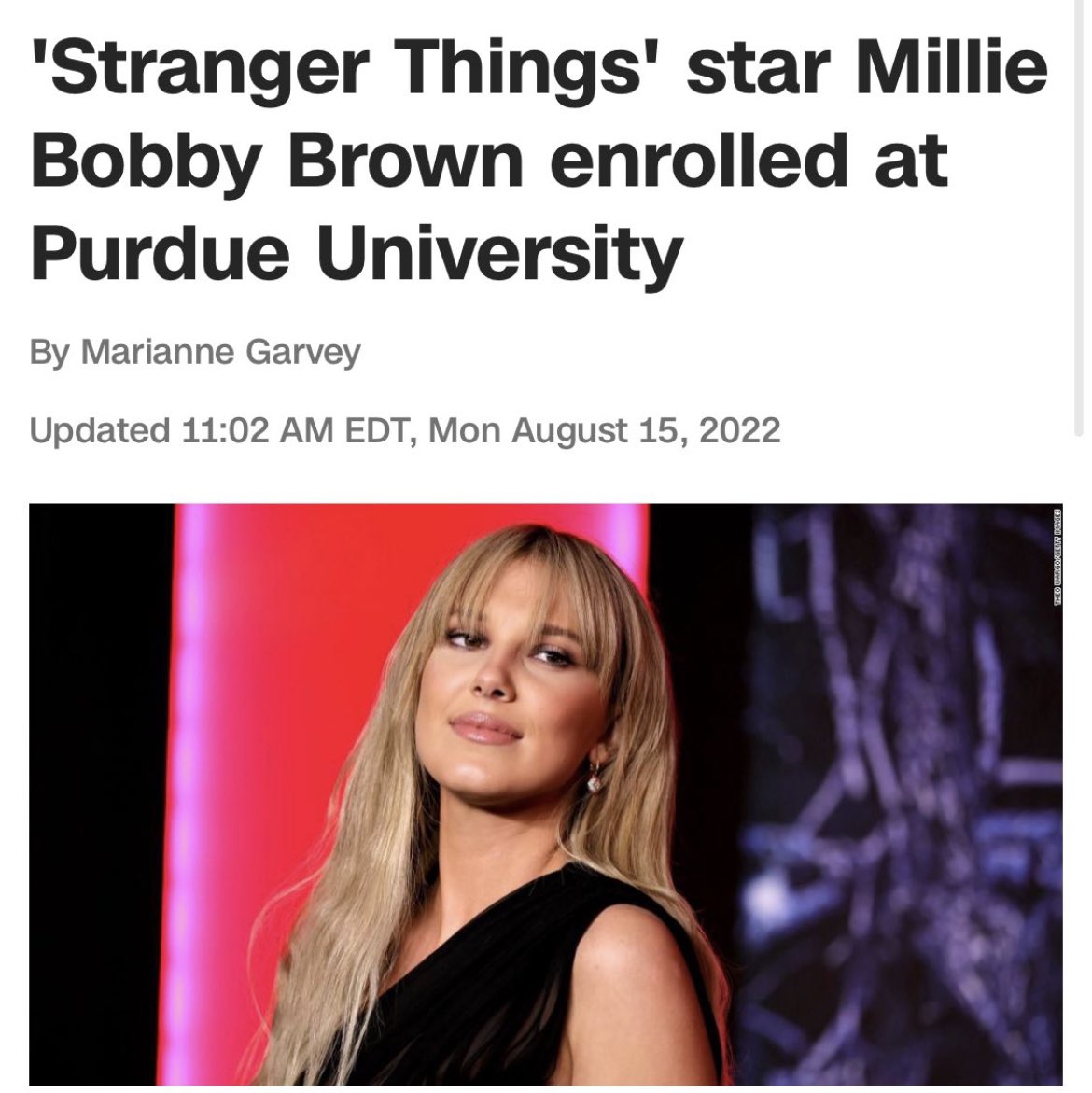 BarstoolPU's tweet photo. Time to see if Millie is a fan of elevated surfaces… @Milliestopshate https://t.co/pBaP6bB8mY