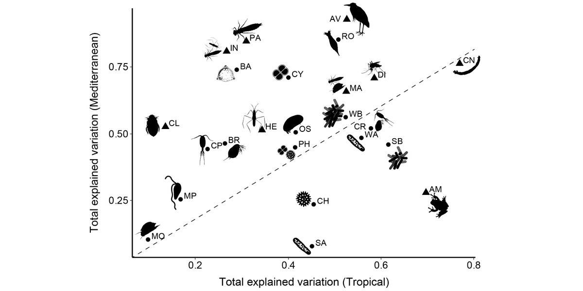 ESAEcology's tweet photo. New and #OpenAccess in @ESAEcology:
Inconsistent response of taxonomic groups to space and environment in mediterranean and tropical pond metacommunities
https://t.co/x6vUXkVoJB
With #OpenData in @figshare & @ZENODO_ORG
#CommunityAssembly
#EnvironmentalFiltering
#Ponds https://t.co/8kV82X8Tsg