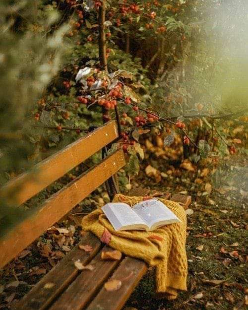 Saba__Advocate's tweet photo. The only person I ever lost 
And 
Needed back,

Was Me" https://t.co/zYiHV5Iznb