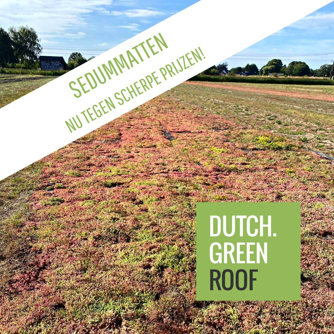 Onze sedummatten liggen er prachtig bij! Profiteer nu nog van onze scherpe prijzen. Interesse? Neem dan contact met ons op: dutchgreenroof.nl/contact/ 
<a href="/TreeportZundert/">Treeport</a> <a href="/grootgroenplus/">grootgroenplus</a> @blackdownroofs 
#sedum #sedummatten #aanbieding #dutchgreenroof