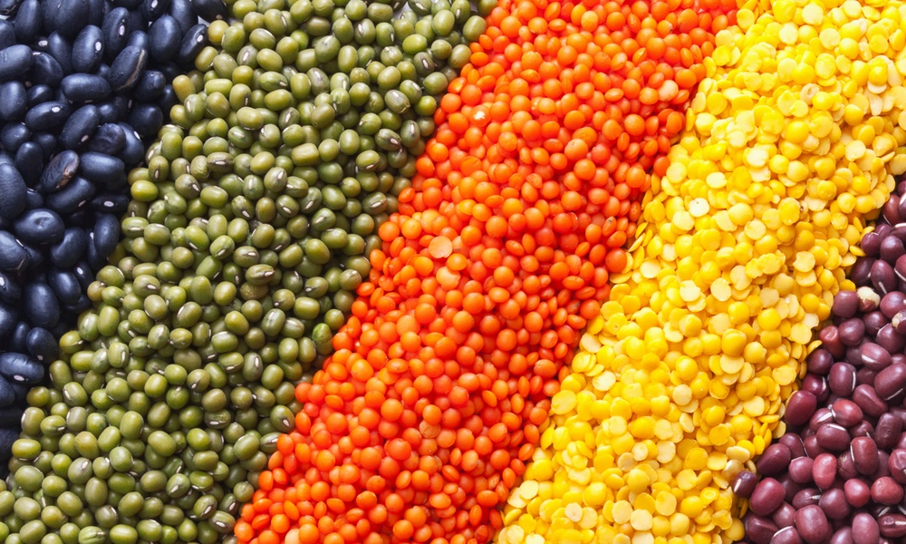 TIME TO UP YOUR FIBER?
Even a small increase in your fiber intake can make a significant difference in your gut health. And pretty much any fiber supplement can help.
thedoctorwillseeyounow.com/content/nutrit… <a href="/DukeU/">Duke University</a> <a href="/DukeHealth/">Duke Health</a> <a href="/MicrobiomeJ/">Microbiome</a> <a href="/ISMEJournal/">The ISME Journal</a> #guthealth