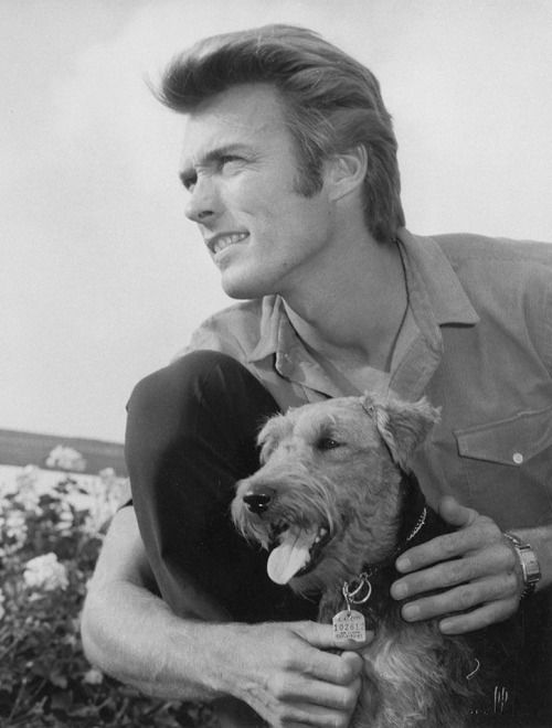 onyx9x's tweet photo. plantbased #EndSpeciesism #AnimalRights #RescueDog #DogsAreFamily #Vegan
Clint EastWood est vegetarien 💪
Vegan food: delicious / Various/ healthy/ Rich, LOT of alternatives
#Compassion #Respect #Sentience #LoveALLanimals
#Antispecism #evolution 🌍 #ClintEastwood https://t.co/rKPaIJqlXu