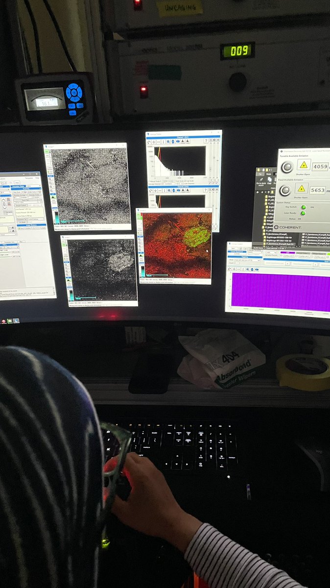 _anngru_'s tweet photo. Thanks everyone, students and all the organizers for such an amazing course - imaging course at @CSHL. It was such a great time!💙 TAing was hard for me but very rewarding, would love to do it again:)
@cshlcourses @Scientifica_Int @CoherentInc @Thorlabs @Class5Photonics @bruker https://t.co/qqgq3YlA0k