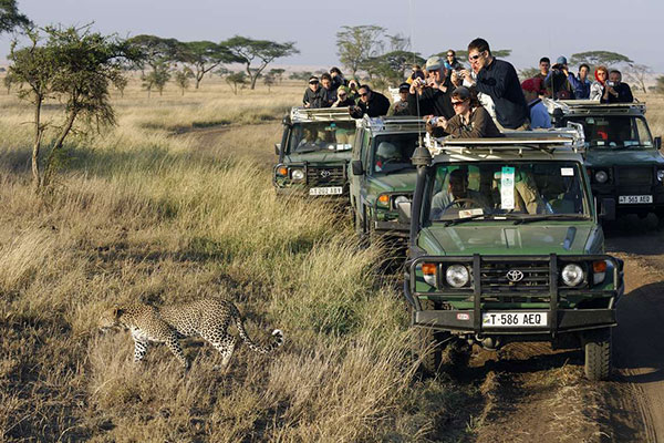 Travessar en massa oceans i continents per a fer un grapat de fotos i vídeos amb el mòbil és la mena de conducta climàticament irresponsable que ens porta al col·lapse. L'extraordinari avantatge de la nostra època és poder conèixer indrets llunyans des de casa. Conformem-nos-hi.