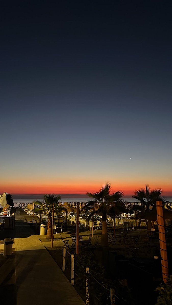 anasssippinlean🦇 tweet media