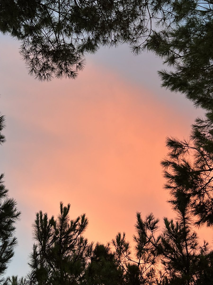 anasssippinlean🦇 tweet media