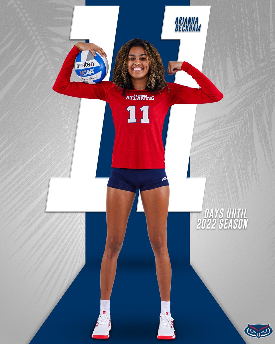 Florida Atlantic Volleyball tweet media