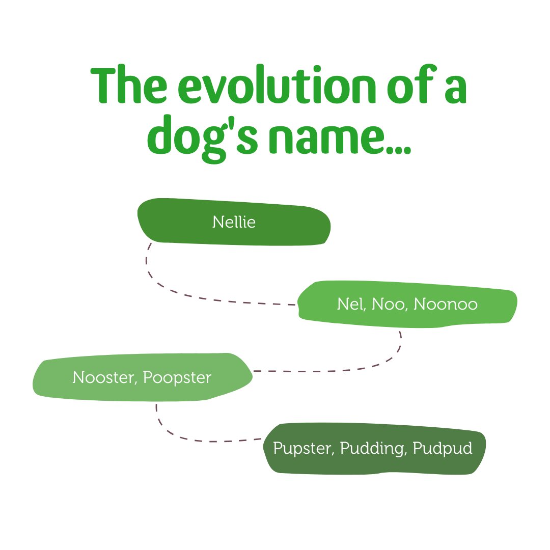 Pets at Home tweet media