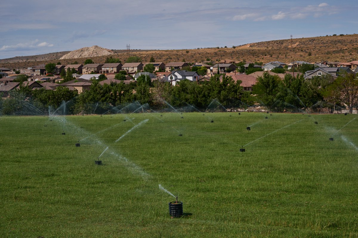 Bridget Bennett tweet media