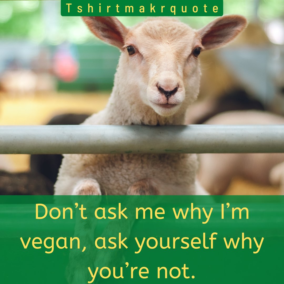 onyx9x's tweet photo. #plantbased #EndSpeciesism #AnimalRights
#Vegan for 🐕🐖💕#planet #health against pollutions inegualities/suffering-Cruelty..
Vegan food: Delicious/Various /healthy /Rich,LOT of alternatives
#Compassion #Respect #Sentience #LoveALLanimals
#ALLtheSame #Antispecism #Evolution🌍 https://t.co/MIpfq2hSXb