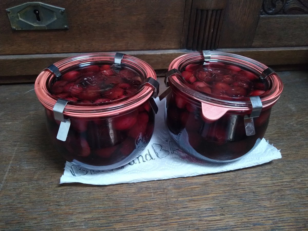 Miezebiene's tweet photo. He he ๐ Another item for the #cookieplot is finished ๐ฆ @Olliemorr20171 @MunchPudding @Eliot01375004 Let's see if we can trick the system again ๐คจ #rum #fruits #Desserts https://t.co/JPAtw1F78O