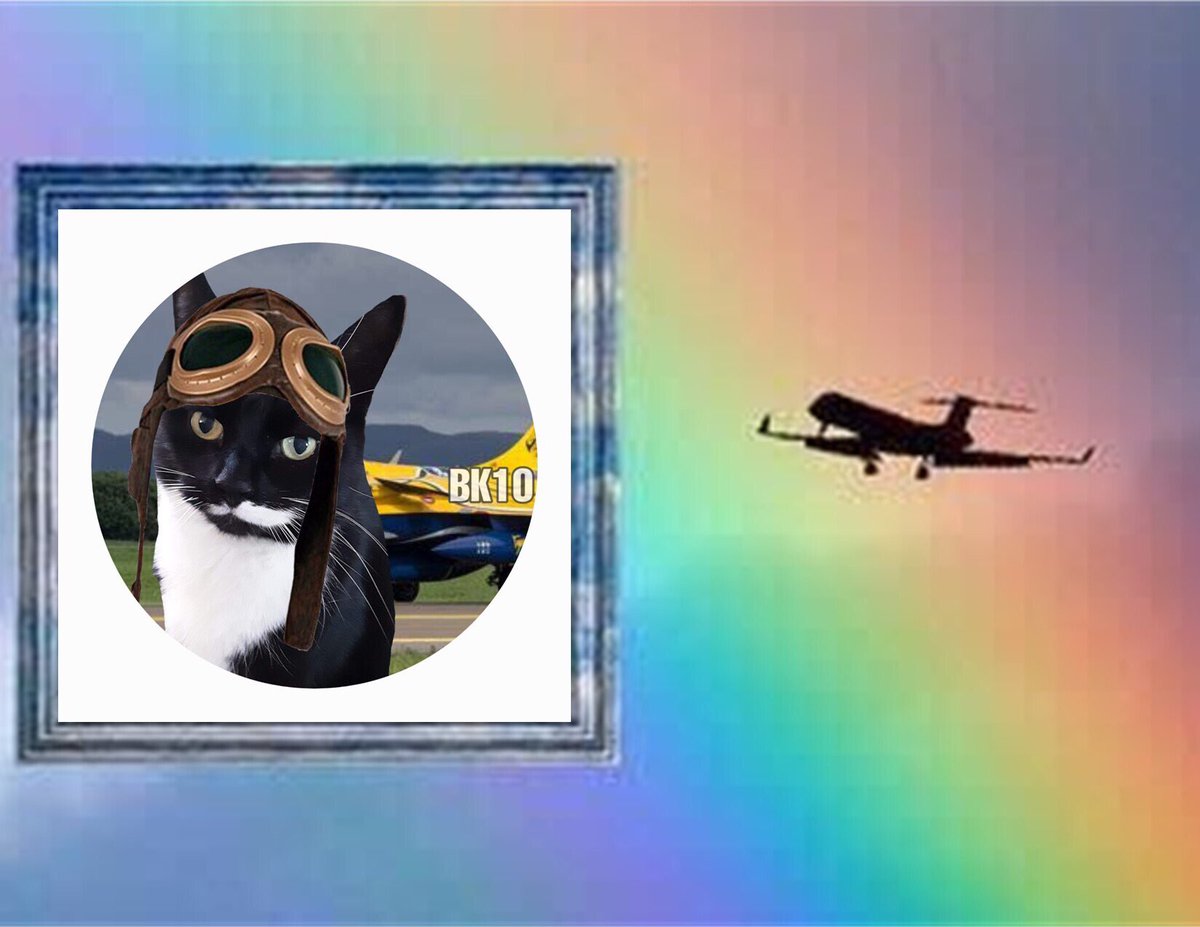 AnipalAviators's tweet image. #TheAviators is sad to announce that Beastie  @DillydollyB crossed the rainbow bridge today😿 Fly high Beastie✈️🌈🐾 Never forgotten always in our heart! 🙏🏽❤️@AnipalAviators