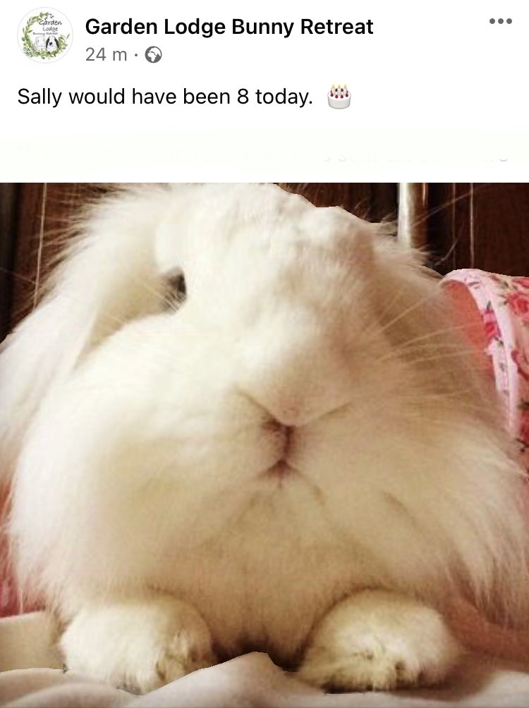 SallySnowball_'s tweet photo. Happy Birthday Sally- we miss you so much. https://t.co/Ca6OY7wI1E