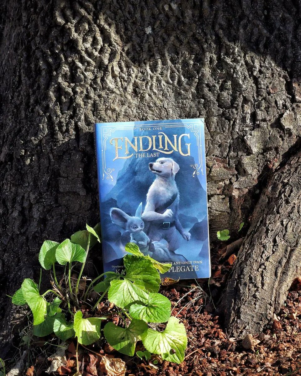 'I watched dust motes twirl. I listened to mourning doves coo outside our window. I let my mind wander.

And then it hit me.

A glimmer of hope. And the beginning of a plan.'
🐾⚔️🍃
#EndlingBooks #mglit @HarperChildrens